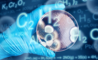 Analyse, Kontrolle und Entwicklung in der Hygiene Forschung von bio tec