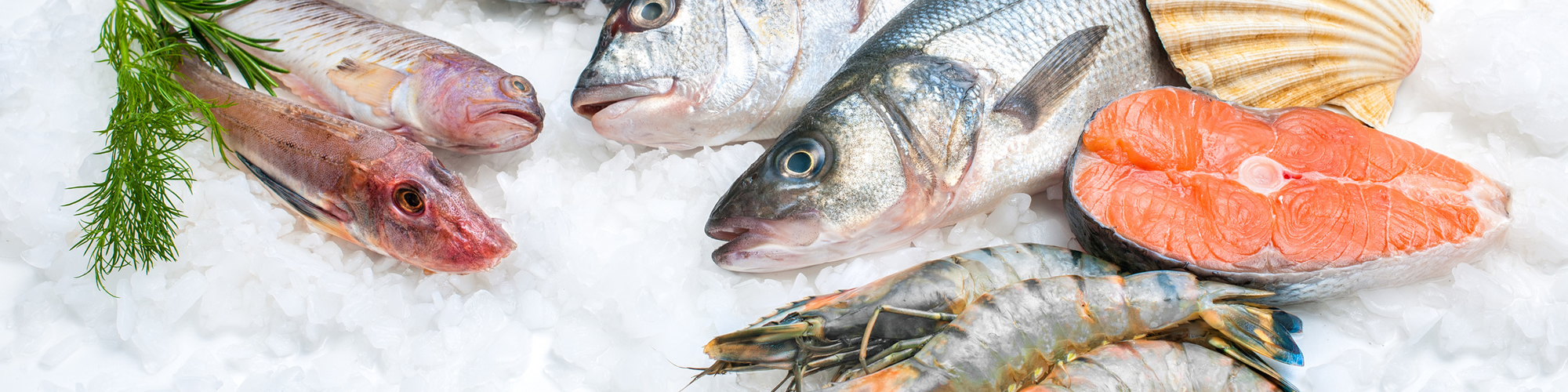 Reinigungsmittel und Desinfektionsmittel für die Fischerei und Fischräucherei