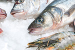 Reinigungsmittel und Desinfektionsmittel für die Fischerei und Fischräucherei