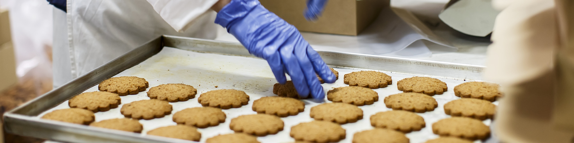 Reinigungsmittel und Desinfektionsmittel für Großbäckereien