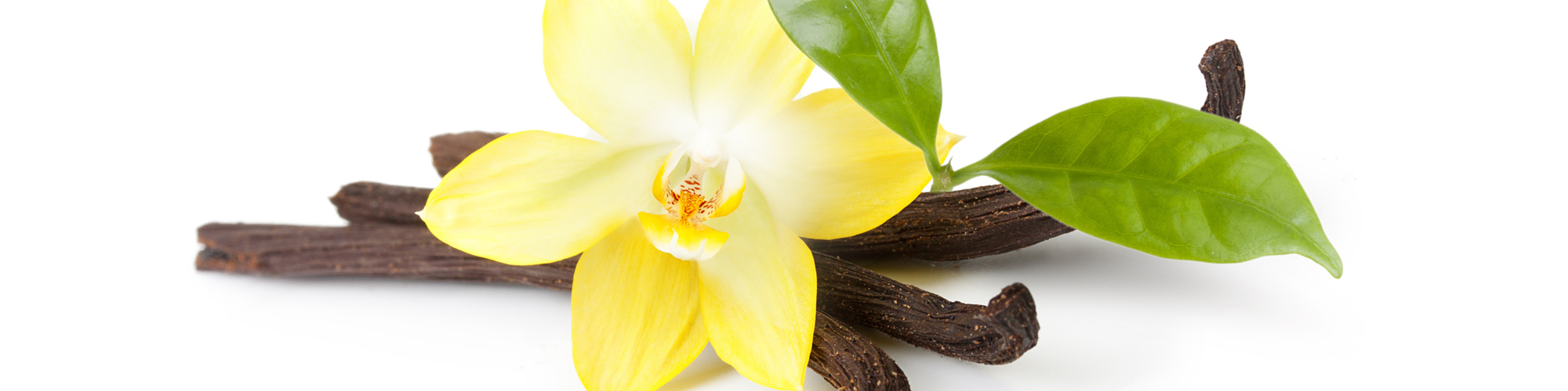 Sichere Hygiene für die Herstellung von Aromaten Sichere Hygiene für die Herstellung von Aromaten
